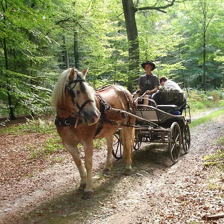 La Haute Voie